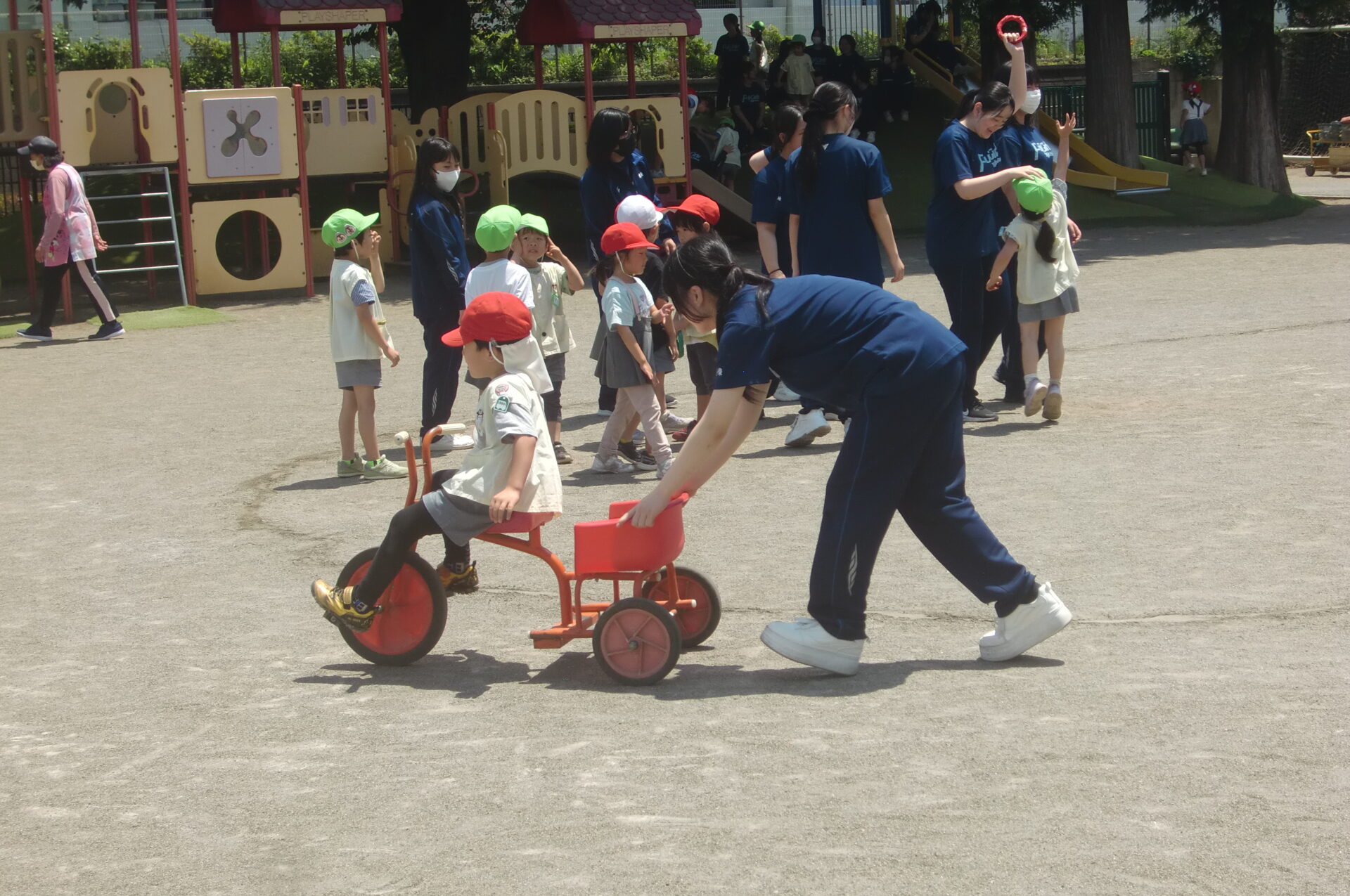 CIMG9846.jpg