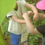 新緑の季節