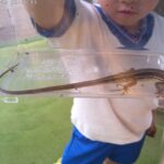 5月の幼稚園